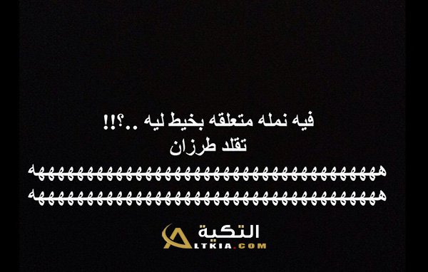 نكت ليش النملة