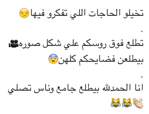 نكت عن النمل تموت ضحك - في نمله تزوجت ذبانه ليه