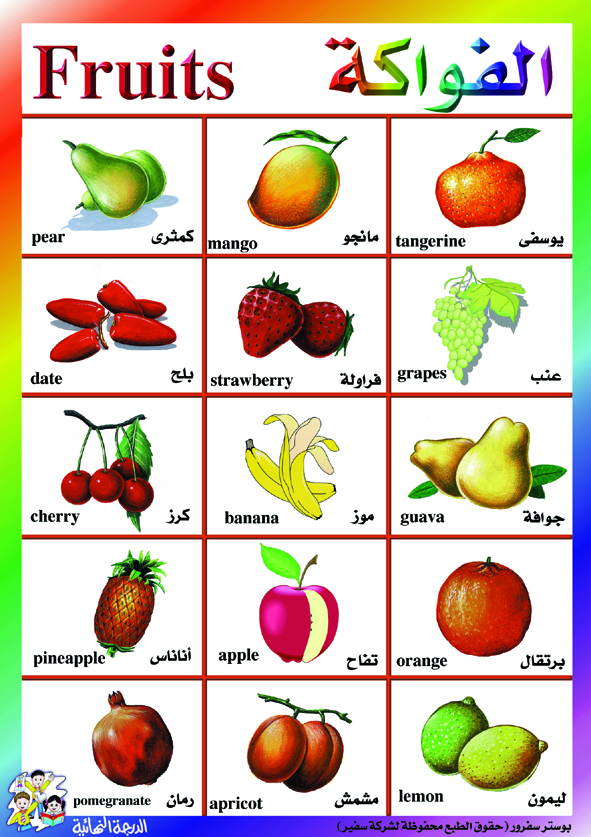 أشكال الخضروات للاطفال 3