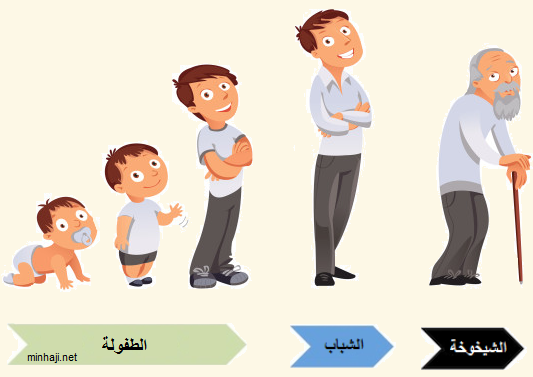 مراحل نمو الانسان بالصور للاطفال 3