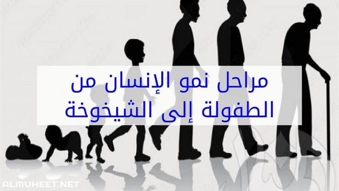 أسماء مراحل الإنسان العمرية 3