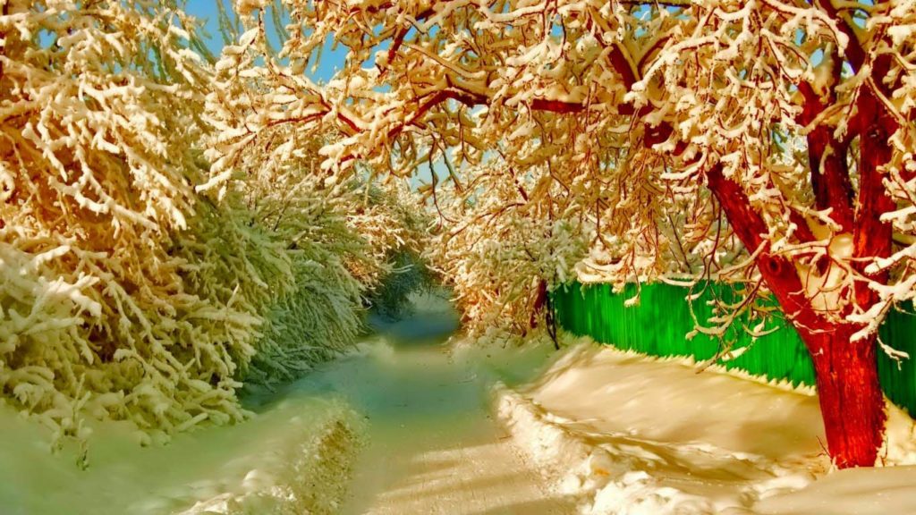 خلفيات طبيعة خلابة وساحرة5