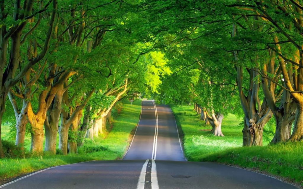 خلفيات طبيعية HD للموبايل1