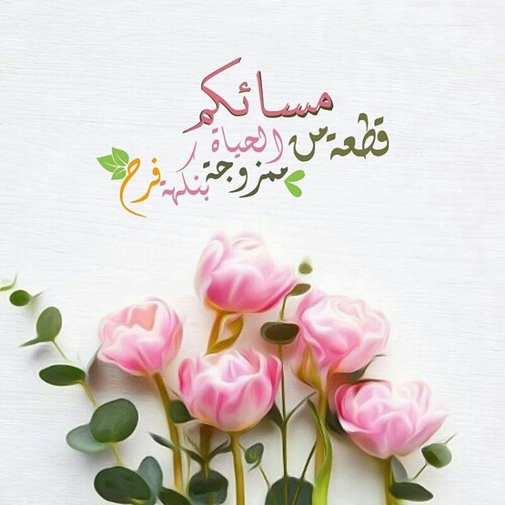 بوستات مساء الخير 2019 1