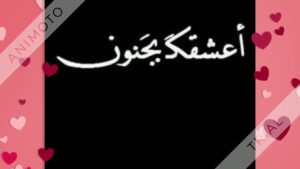 رسالة حب لحبيبي الغالي