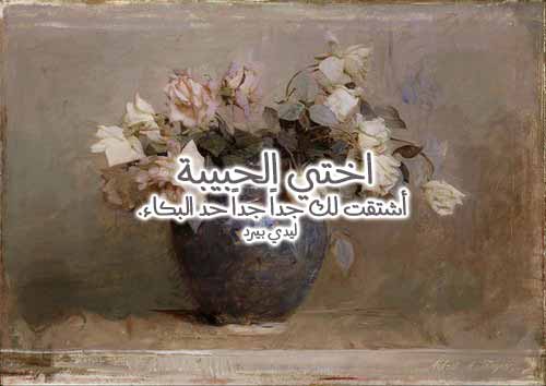 مسجات عن الاخت اجمل الصور عن حب الاخت 4