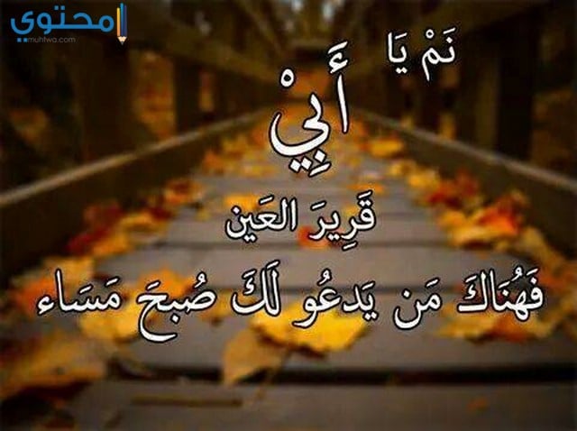 خلفيات عن الاب المتوفي 4