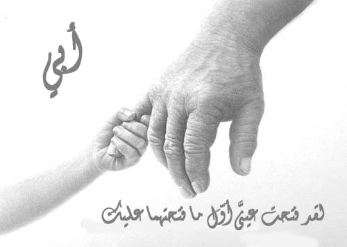 بوستات عن الأب السند 4