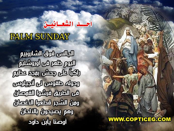 صور احد الشعانين 4