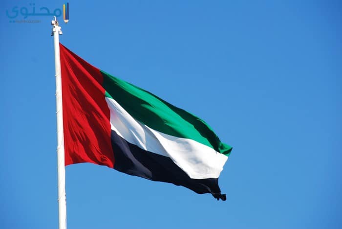 خلفيات الإمارات 5