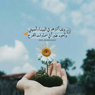 اجمل الصور المعبرة 4