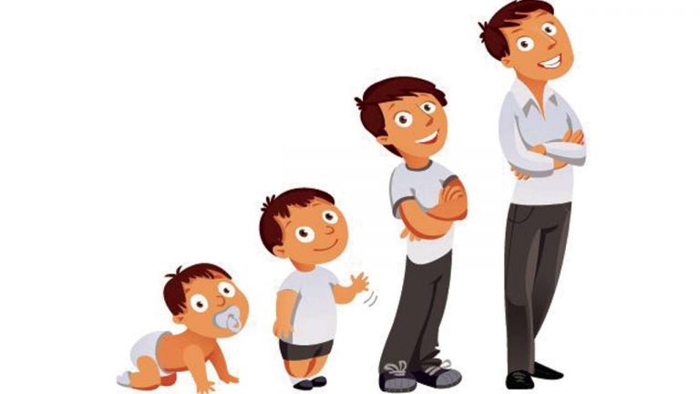 مراحل نمو الإنسان كرتون 4