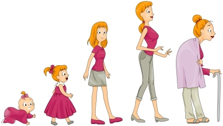 مراحل نمو الإنسان كرتون 5