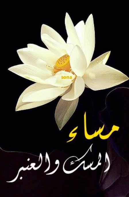 صور مساء 5