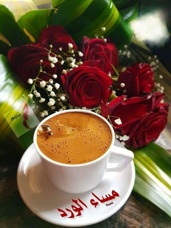 خلفيات مساء الخير 5