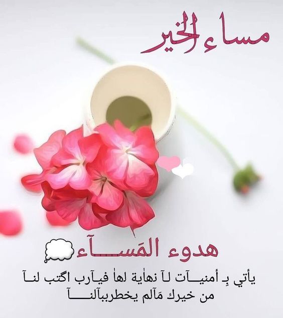 أجمل كلام مساء الخير 5