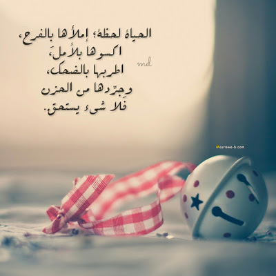 اجمل الصور المعبرة عن الفرح 5