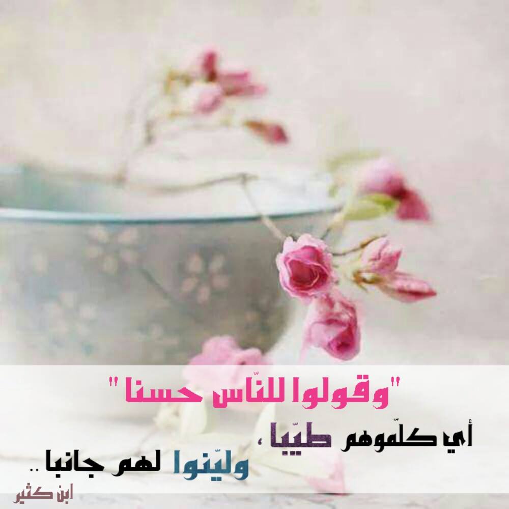 صورواتس معبره 5