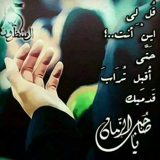 اجمل ما قيل بحق الإمام المهدي 5