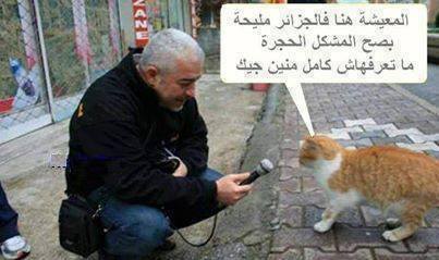 نكت مضحكة جزائرية عن الحب