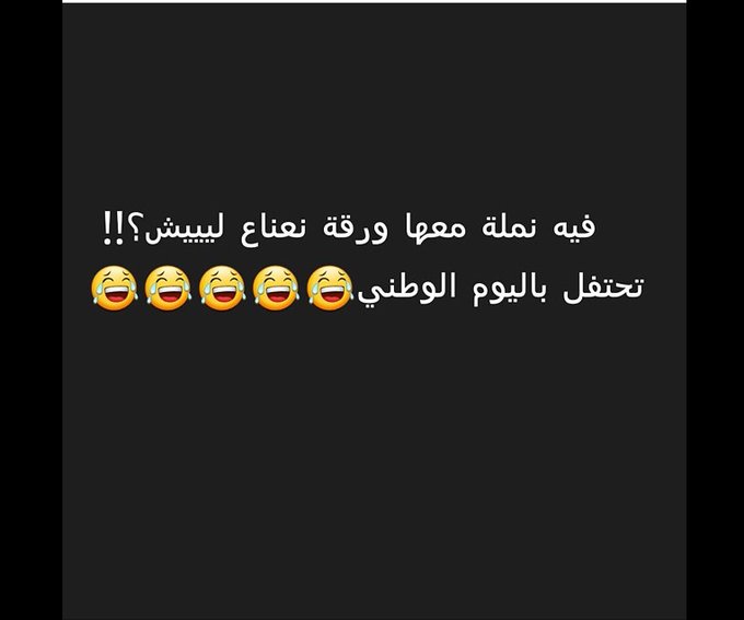 نكت نمل ٢٠١٩