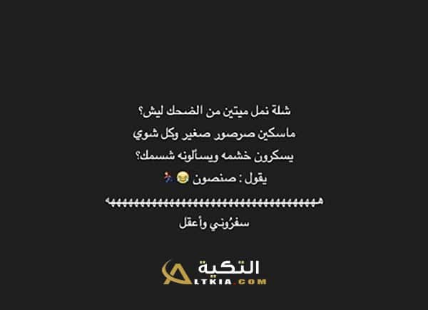 نكت النملة والفيل