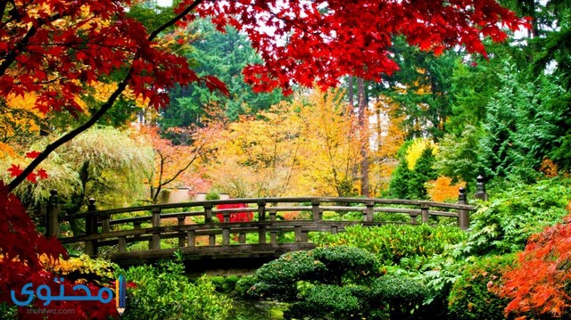 صور طبيعيه4