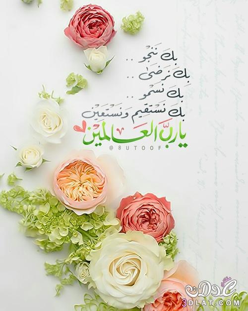 صوردينية مؤثرة1
