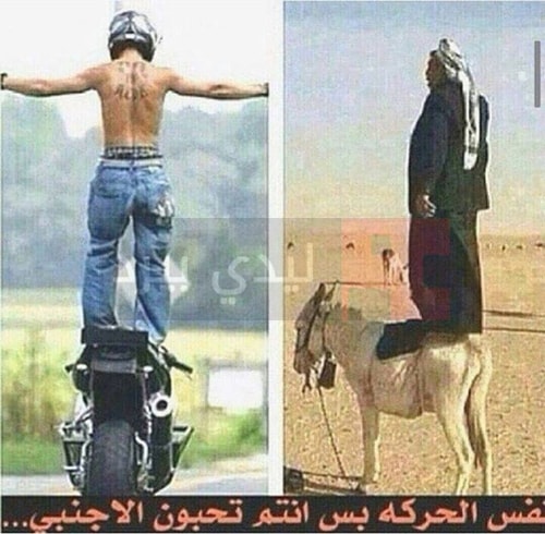 عالم الصور المضحكة1