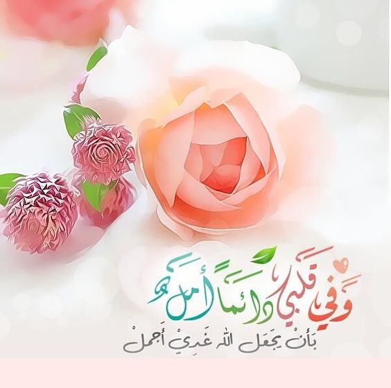 صورواتس معبره 6