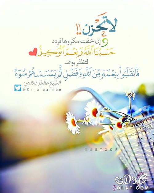 صوردينية مؤثرة2