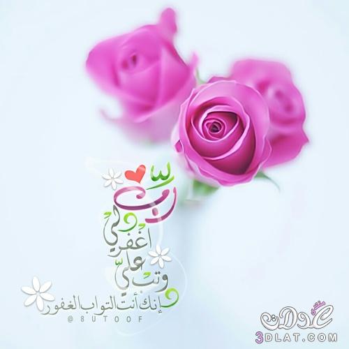صوردينية مؤثرة3