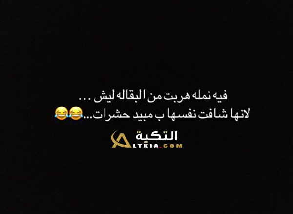 نكت نمل 2018