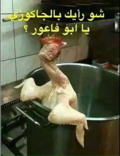عالم الصور المضحكة3