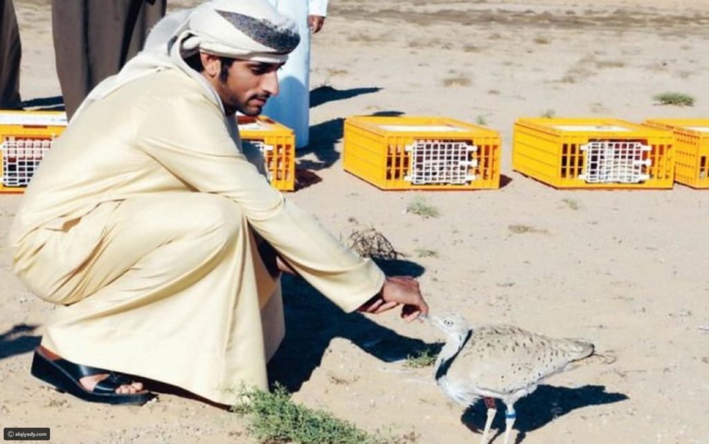 صور فزاع 8
