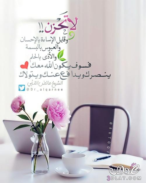 صوردينية مؤثرة4