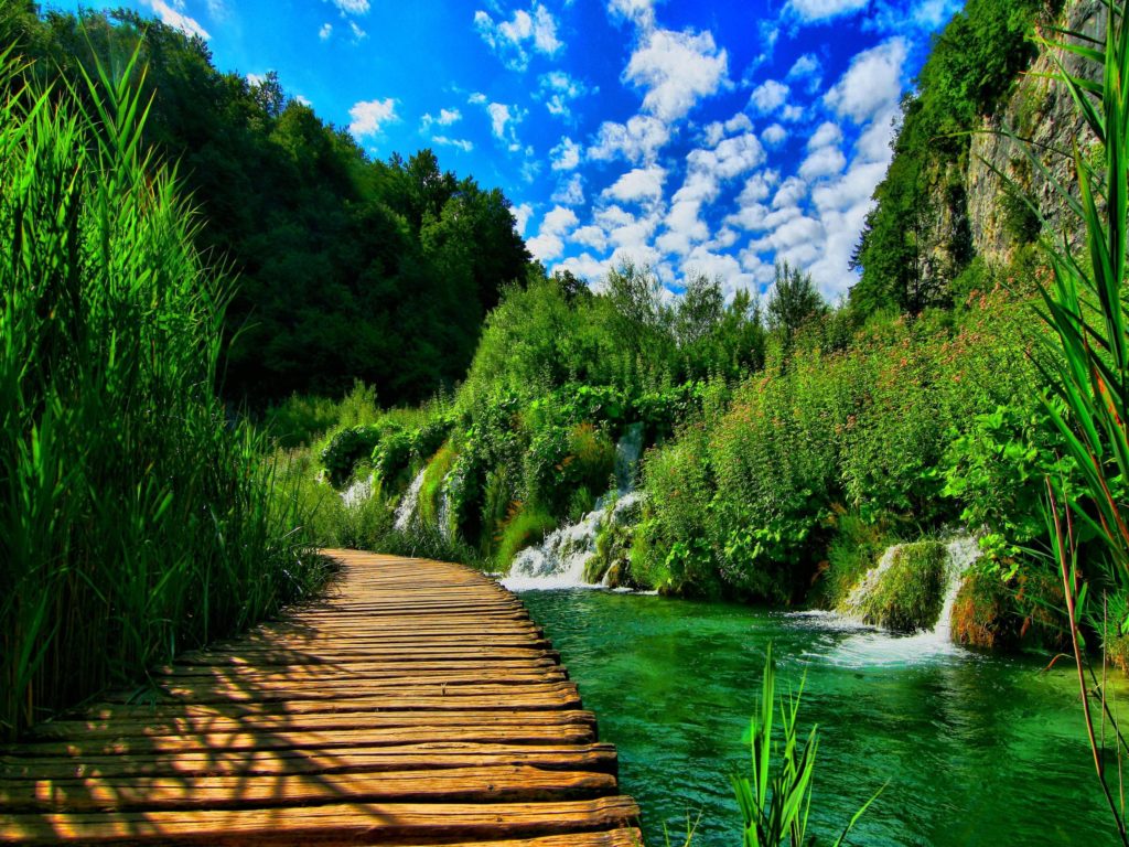 خلفيات طبيعية روعة4