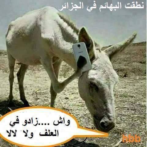 صورفيس بوك مضحكة جزائرية 2017