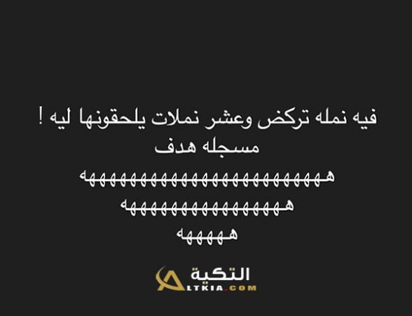 نكت نمل 2018