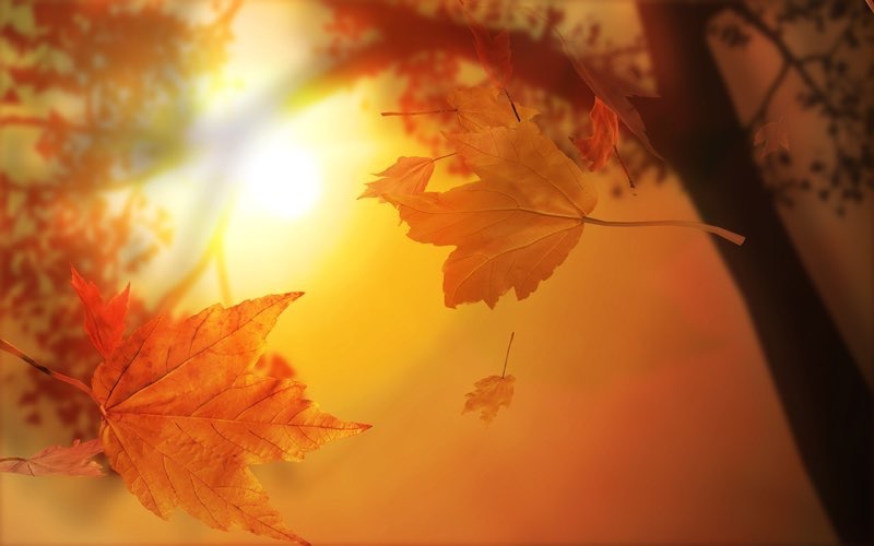 مناظر طبيعية hd4