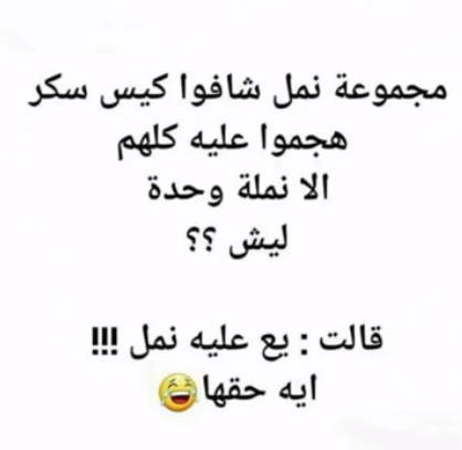 نكت عن النمل تموت ضحك - نكت نمل 2018