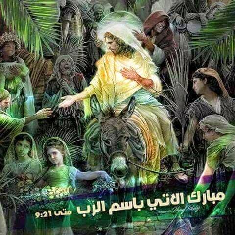 آية عن أحد الشعانين 4
