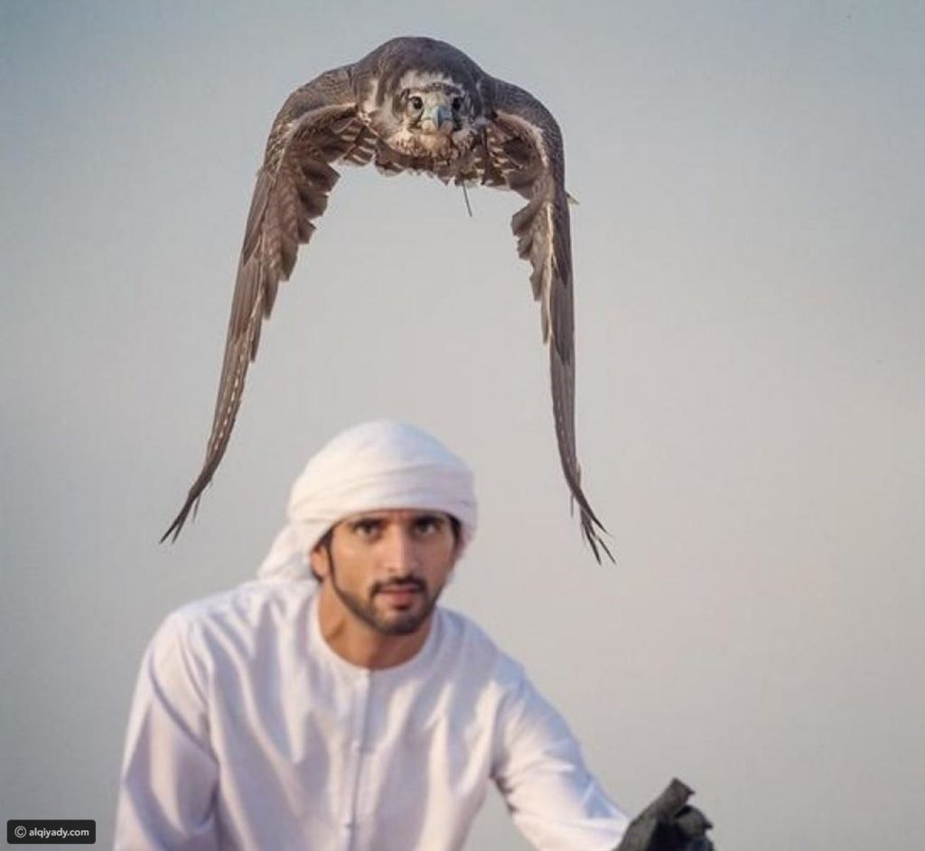 صور فزاع 9