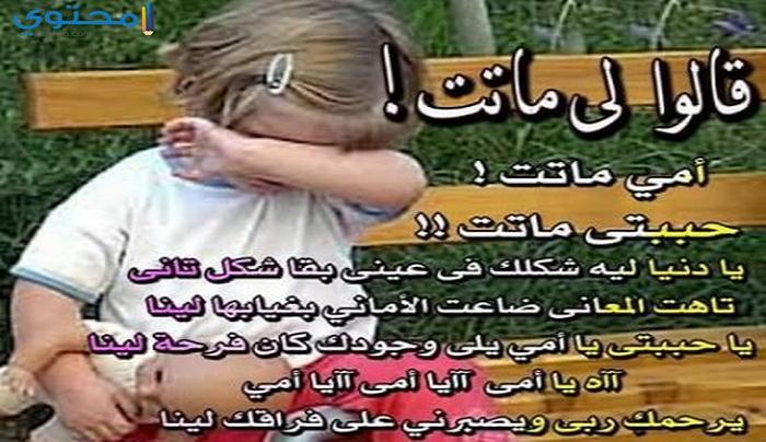 صورعن الام المتوفية 2
