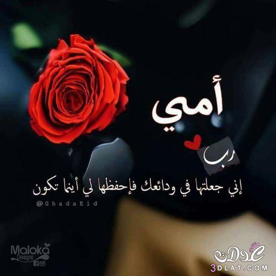 فراق الام صعب 2