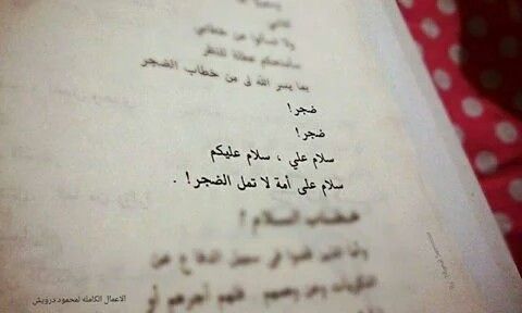 كلام حب مكتوب علي ورق