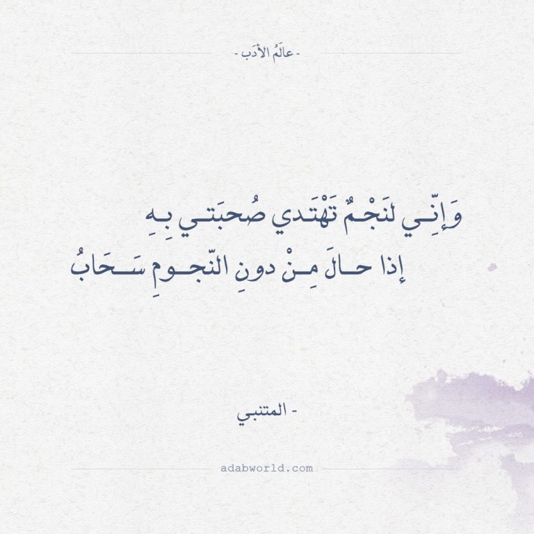 شعر المتنبي في الفخر