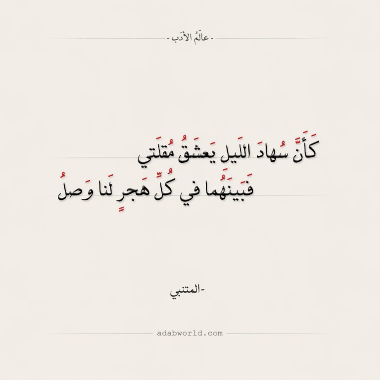 شعر المتنبي في العتاب