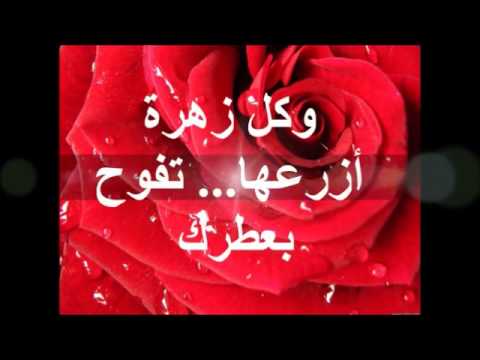 اشعار حب قصيرة للحبيب