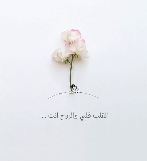 رسائل حب وشوق للزوج جريئه ١